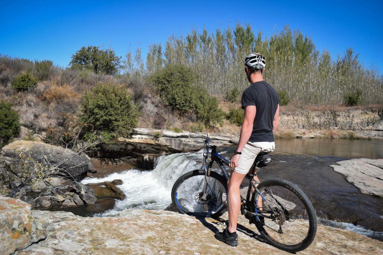 Merino Guest Farm Clarens Buitenkant foto